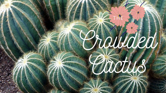 The Crowded Cactus Artwork